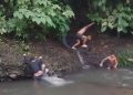 Viral video
