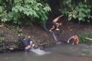 Viral video