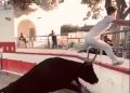 Viral video, Viral, Trending, Bull,