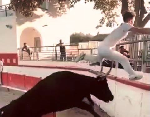 Viral video, Viral, Trending, Bull,