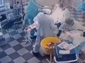 Viral video, Viral, Trending, Russia, Earthquake