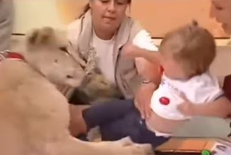 Viral video