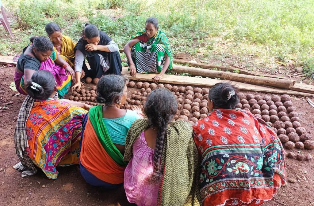 Tribal women aim to restore forests with seed balls