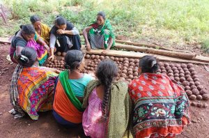 Tribal women aim to restore forests with seed balls