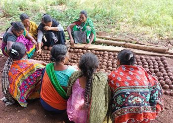 Tribal women aim to restore forests with seed balls