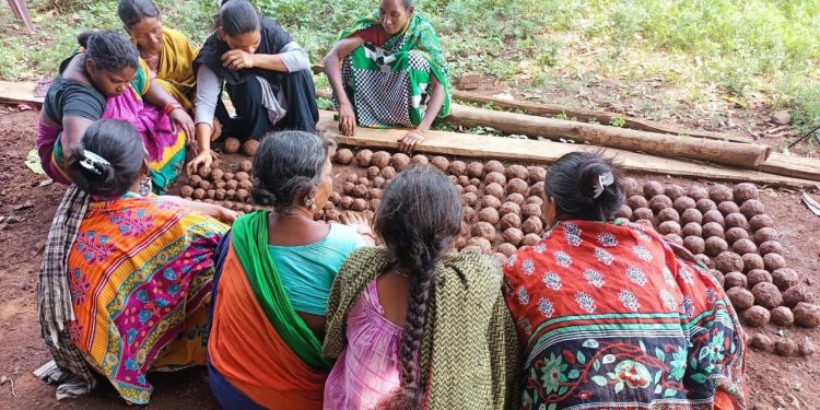 Tribal women aim to restore forests with seed balls