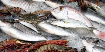 Seafood