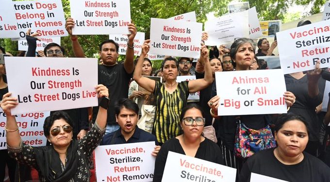 Animal rights activists assemble at Jantar Mantar ahead of SC ruling