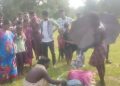 Bargarh self immolation