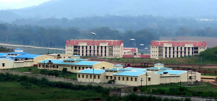 Centarl University of Odisha