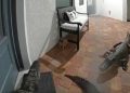 Viral video