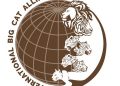 International Big Cat Alliance