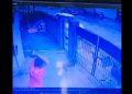 Viral video