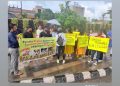Court’s stray dogs rulings opposed