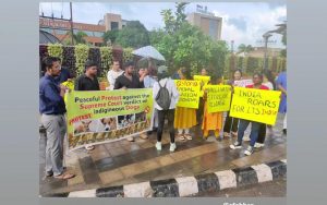 Court’s stray dogs rulings opposed