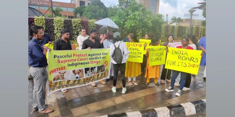 Court’s stray dogs rulings opposed