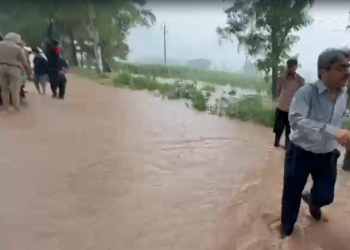 Hundreds of villages in Punjab inundated, impacting life, crops