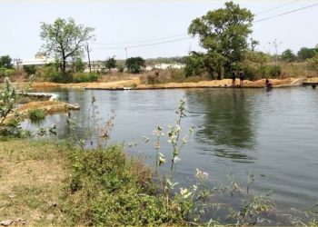 Pani Panchayats
