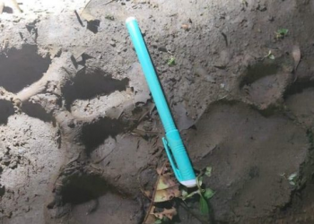 Tiger spotted in Odisha's Bonai forest, patrolling intensified