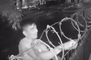 Viral video
