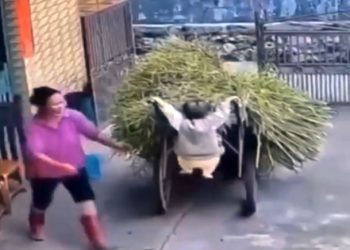 Viral video