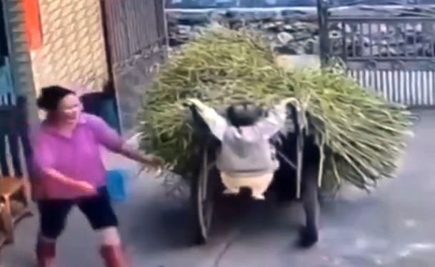 Viral video