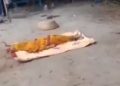 Shocking video