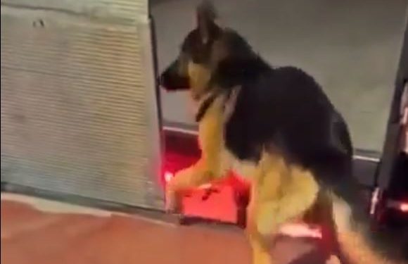 Viral video,