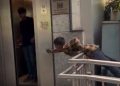 Viral video, Viral, Trending, Funny, Prank
