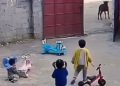 Viral video