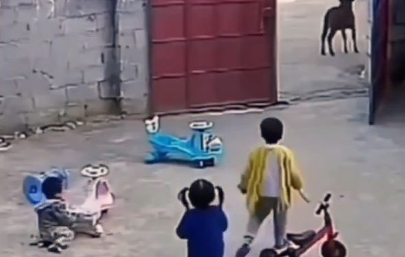 Viral video
