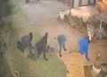 Viral video