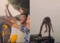 Viral video