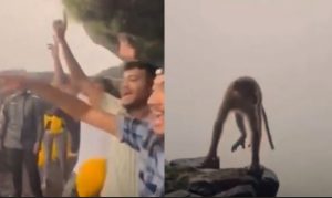 Viral video
