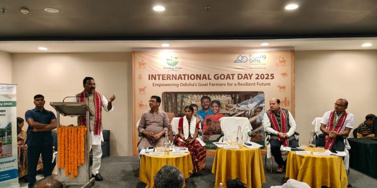World Goat Day 2025