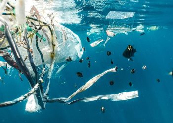 Plastic