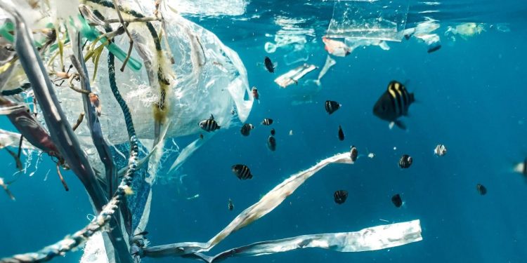 Plastic