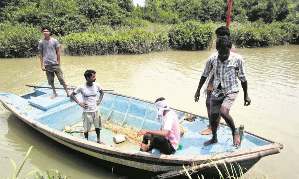 Illegal fish farming