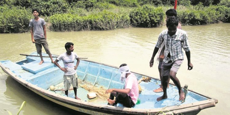 Illegal fish farming