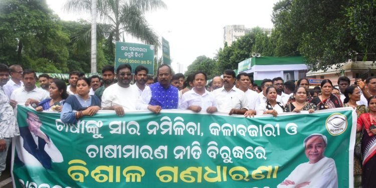 BJD takes out rally over fertiliser 'scarcity'