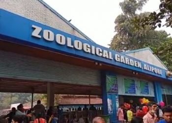 Alipore Zoo