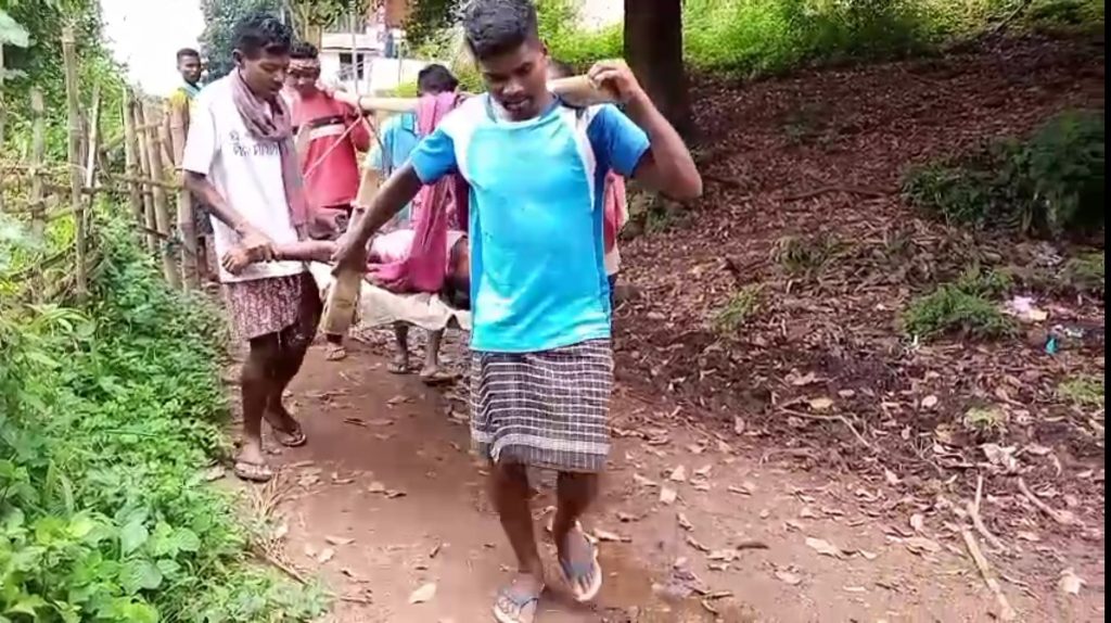 Dasamantapur-Snakebite