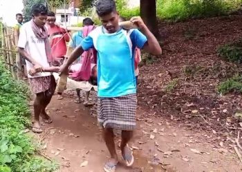 Dasamantapur-Snakebite