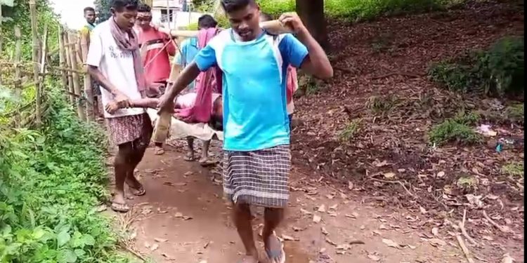 Dasamantapur-Snakebite