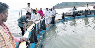 Indravati Fish
