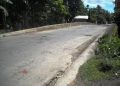 Reopening of NH-2 does not arise as it has never been closed: Kuki Zo Council