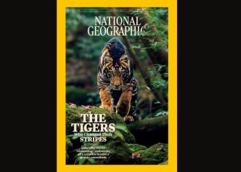 National Geographic Similipal Tiger