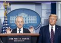 Peter Navarro