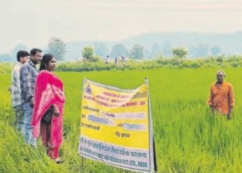 Organic farming