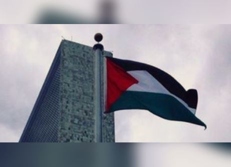Palestine flag